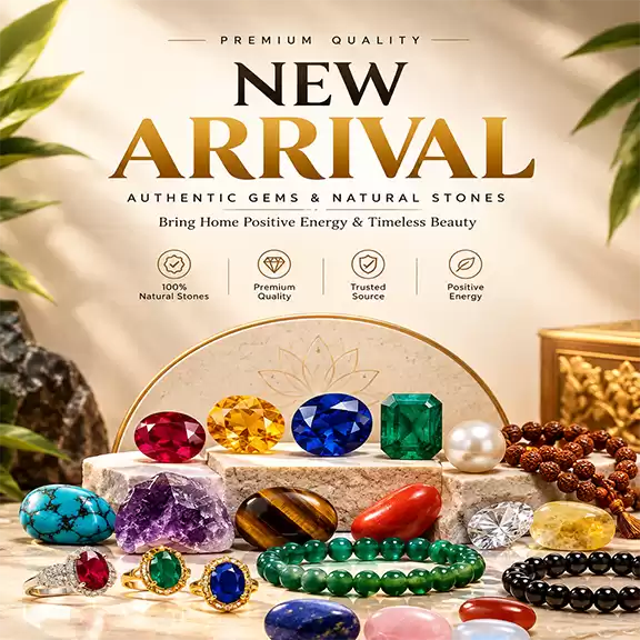 New Arrival 